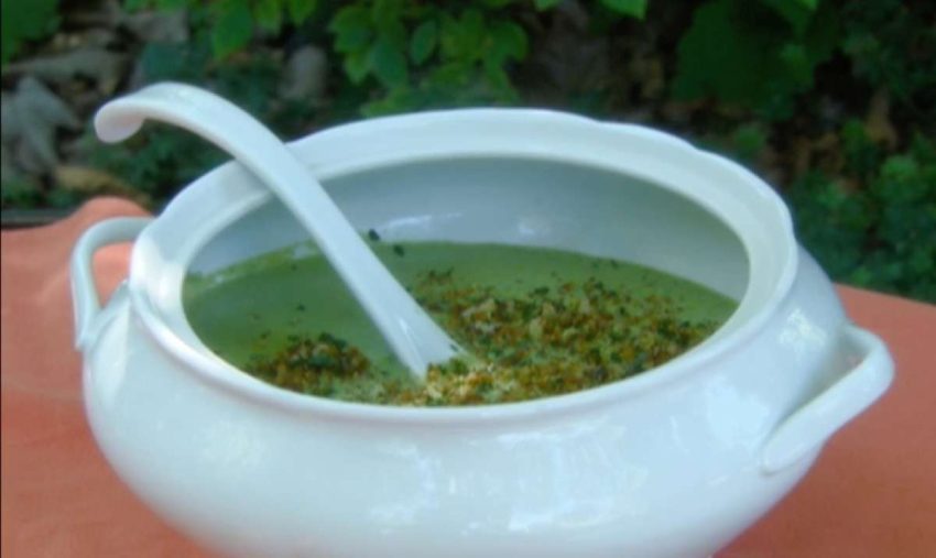 a tureen of creamy broccoli soup