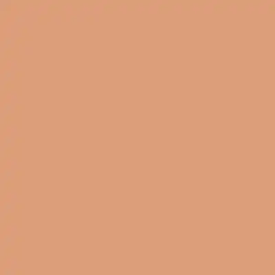 SW Fame Orange