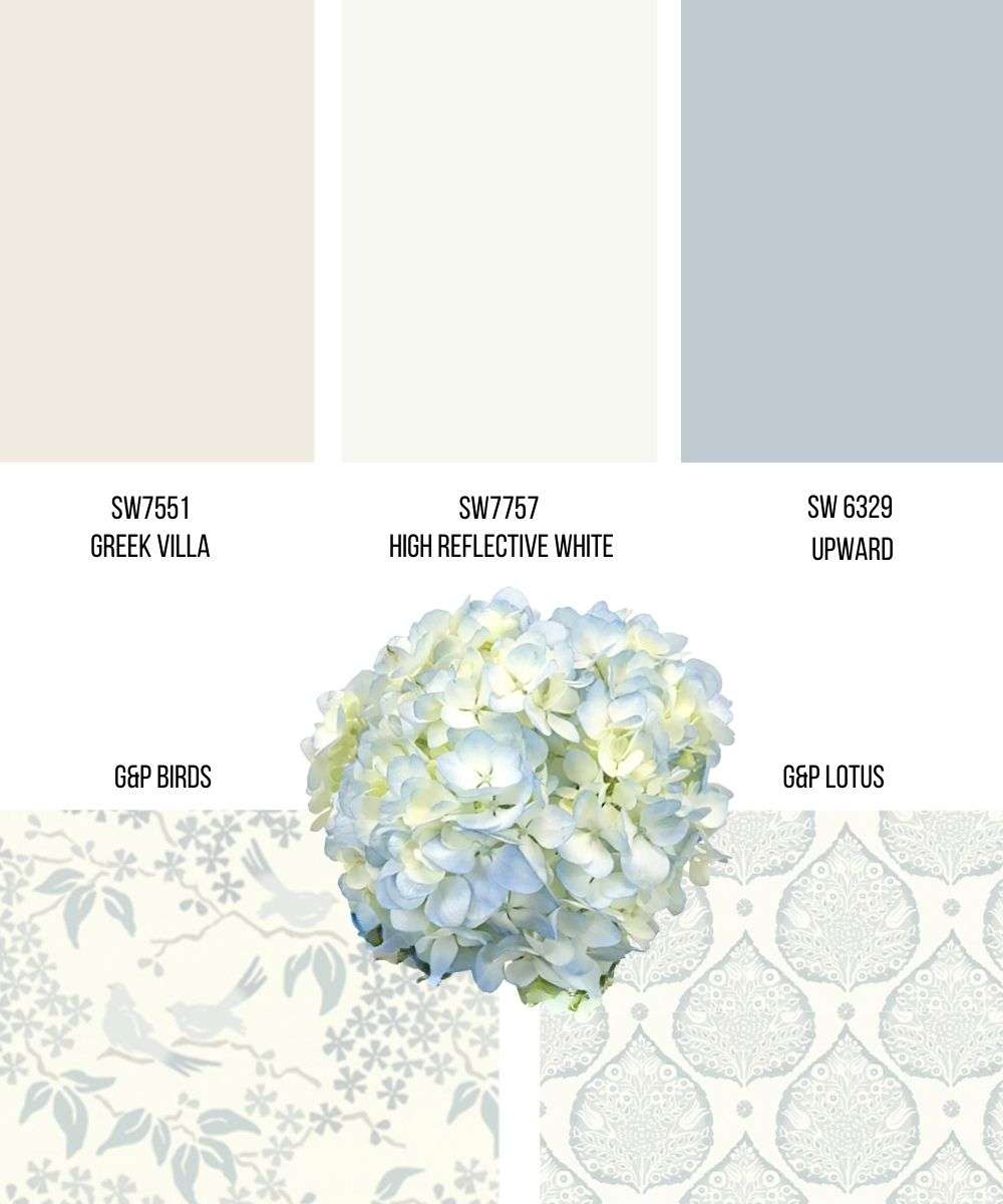 Coastal-Accented-Achromatic 2 wallpaper swatches, 3 paint swatches, and 1 inspiration photo of a large cream and blue hydrangea